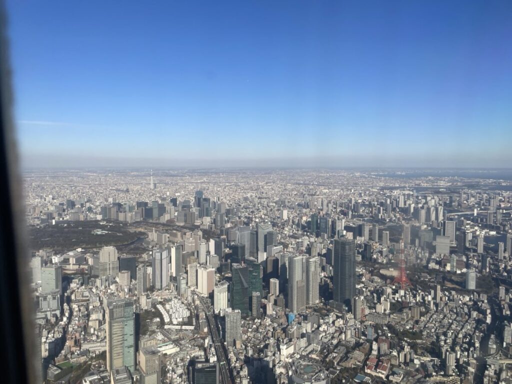 着陸前、東京の都会的な景色