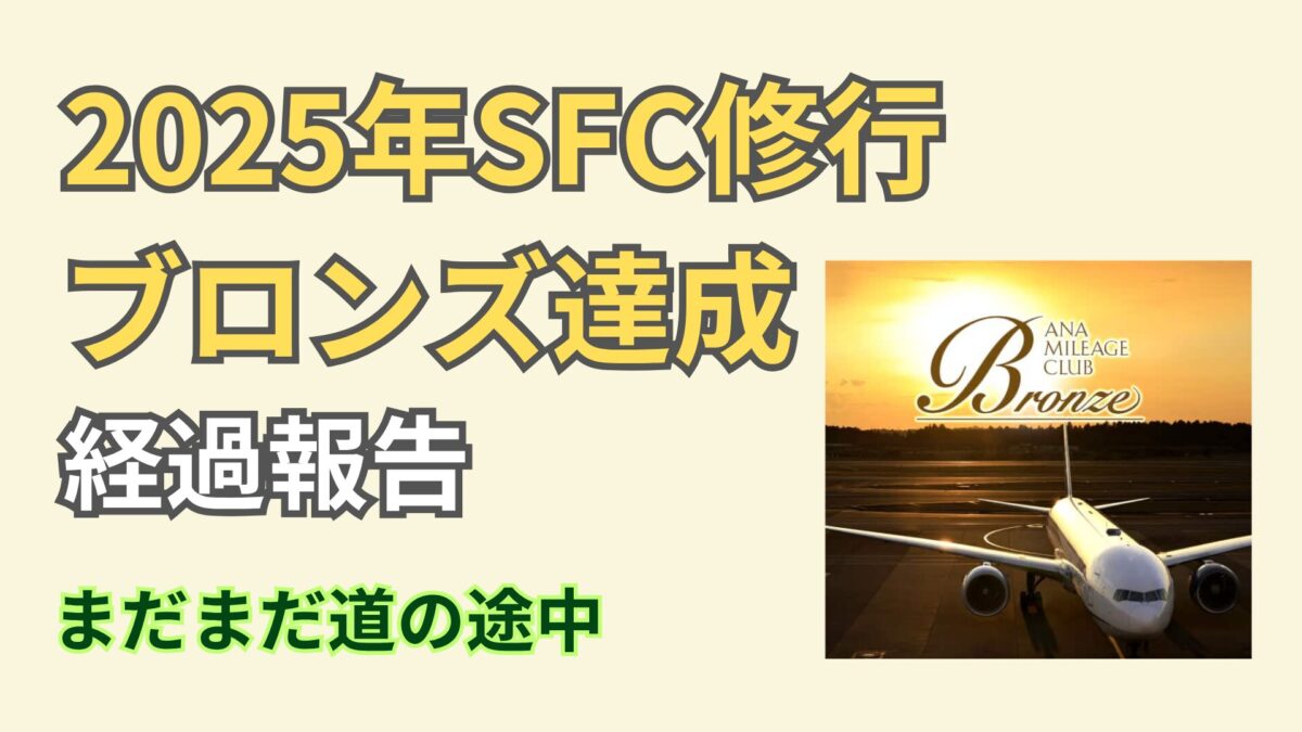 【ANAブロンズ到達】SFC修行中に気づいた現実とメリットについて