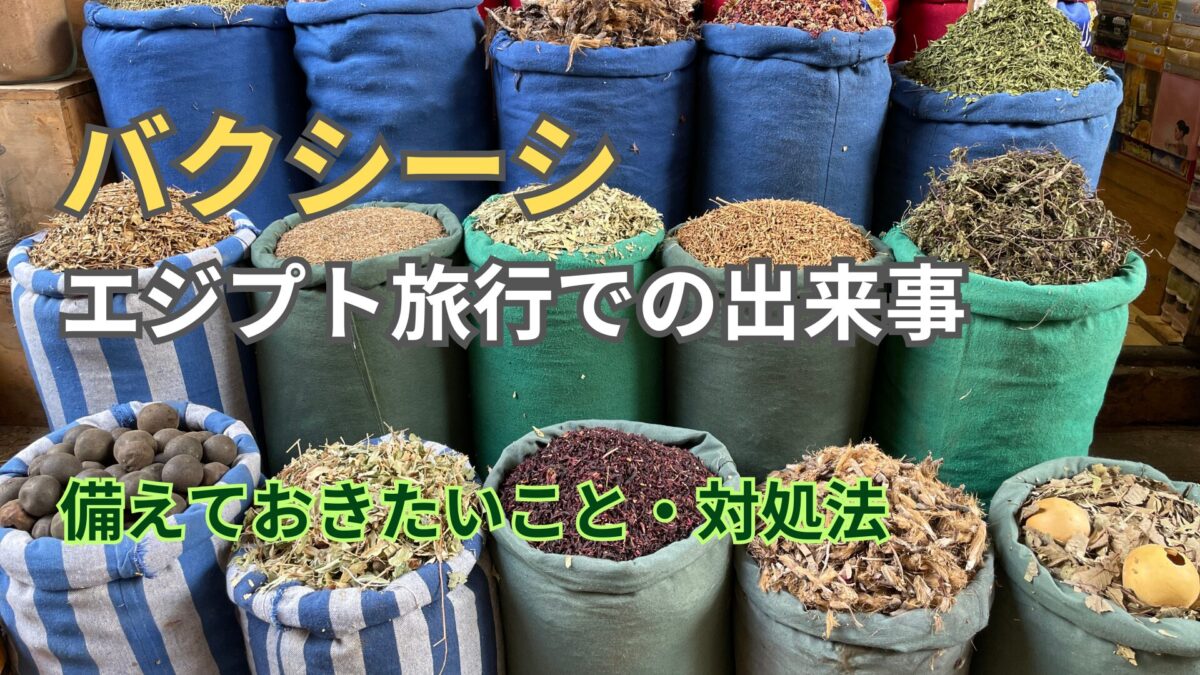 バクシーシに翻弄された初エジプト：知っておきたい背景・相場と対処法