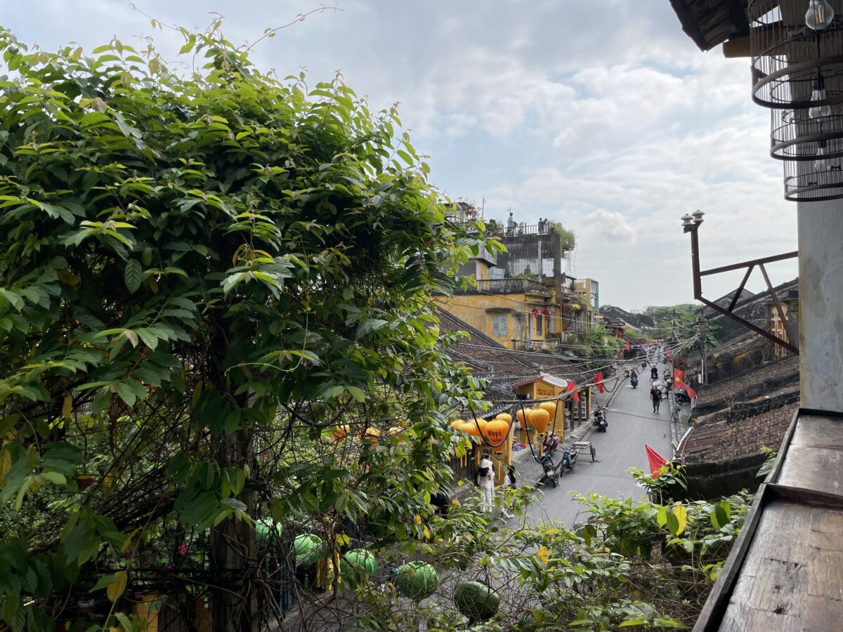 ２階からは旧市街を見下ろせます