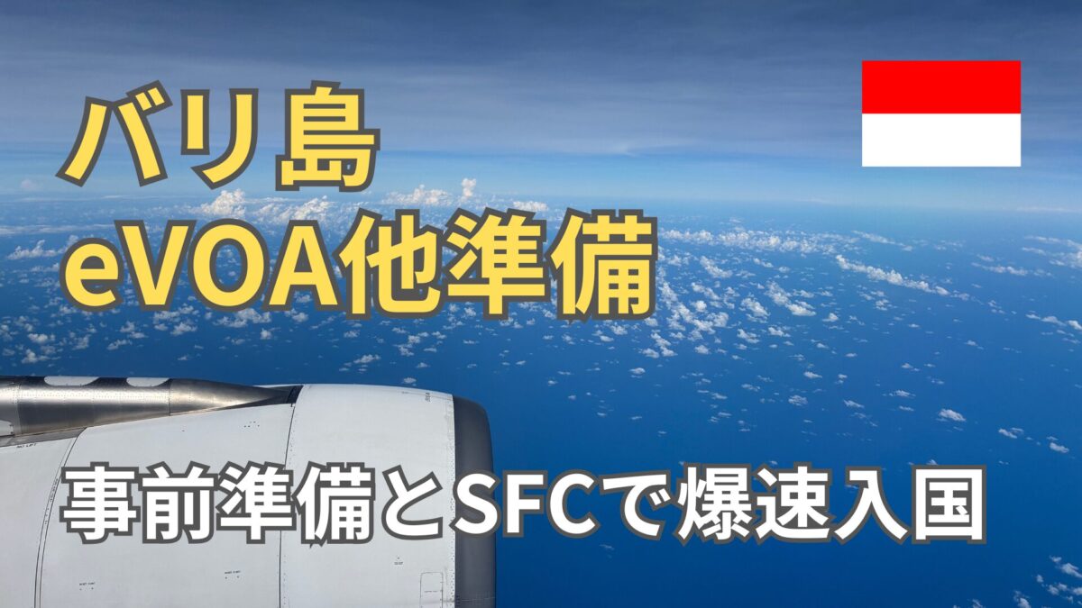 2026年バリ島eVOA入国徹底ガイド｜事前準備で最速最短導線